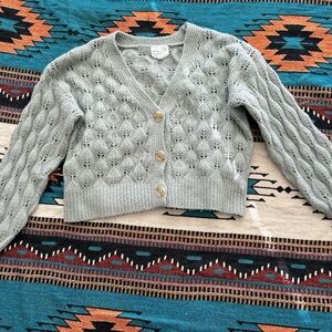 Talbots Sage Knit Cardigan